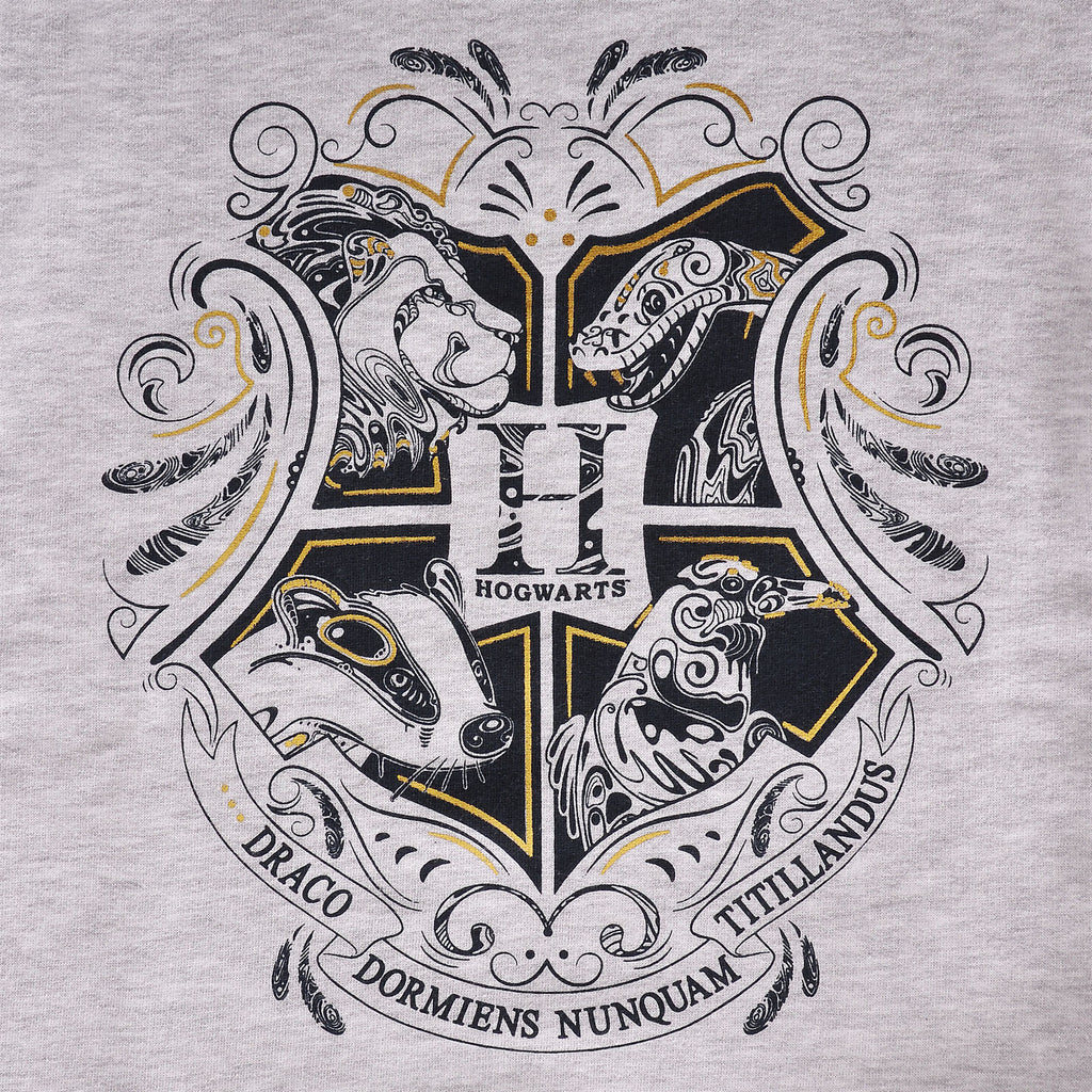 Zdjęcie produktu Harry Potter - Dziecięca bluza z kapturem Hogwarts szara