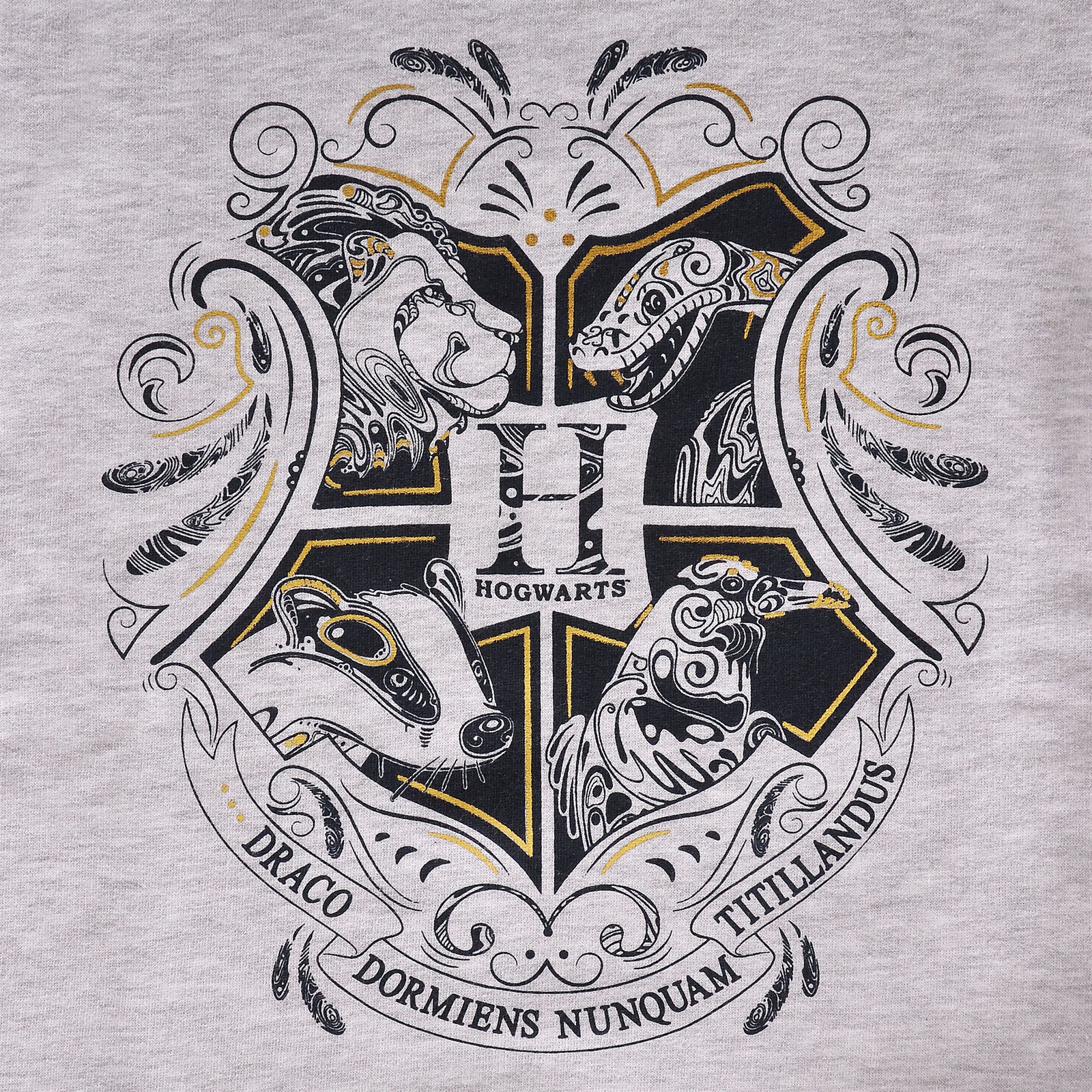Zdjęcie produktu Harry Potter - Dziecięca bluza z kapturem Hogwarts szara