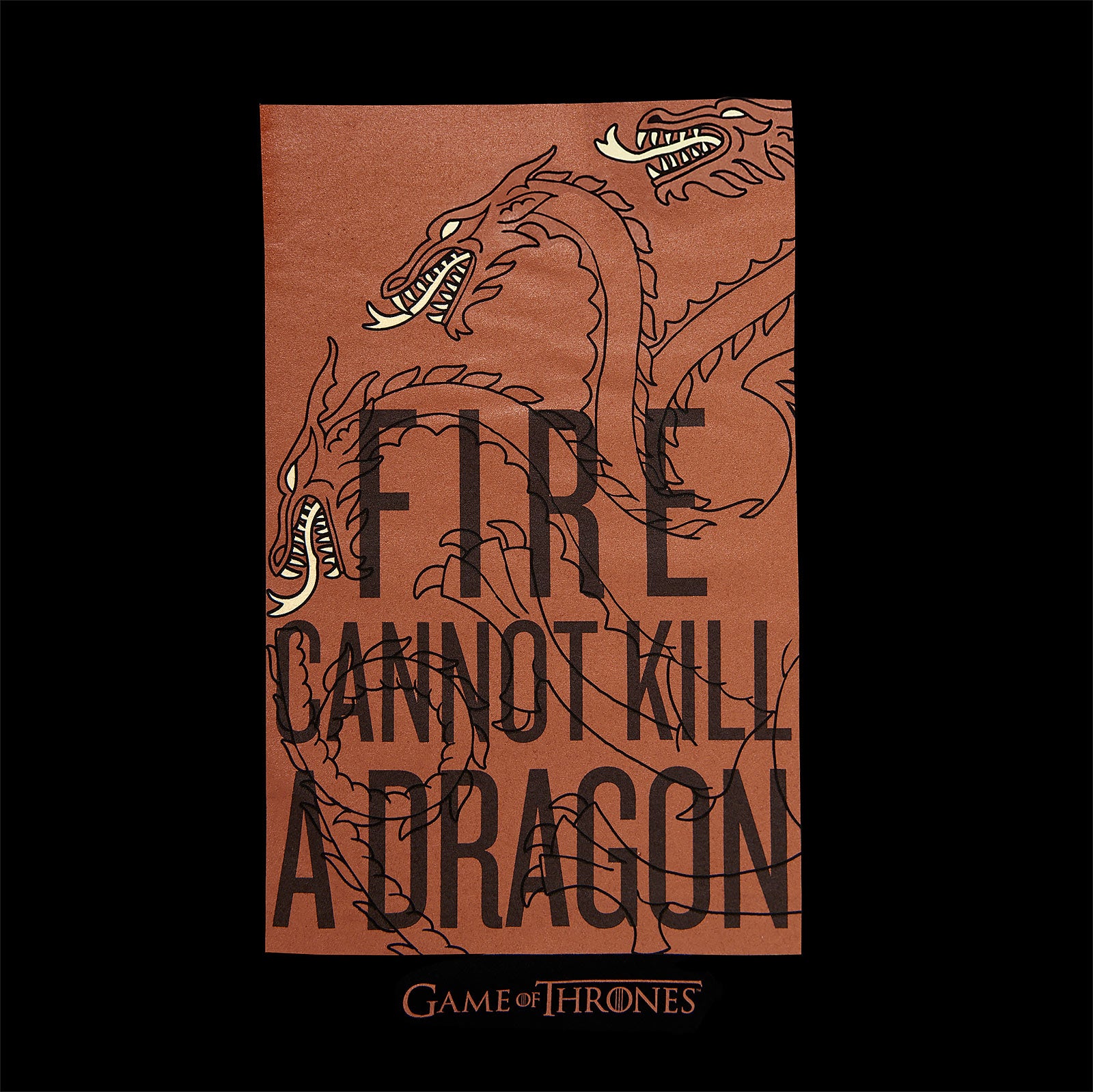 Product image Game of Thrones - Fire Cannot Kill a Dragon Targaryen T-Shirt black