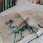 Zdjęcie produktu Harry Potter i Czara Ognia - Wydanie ilustrowane