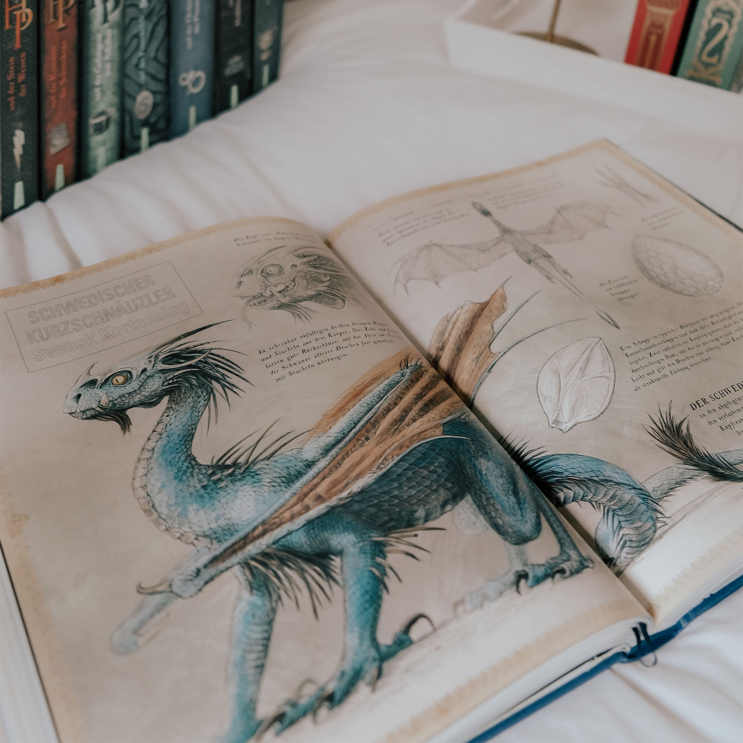 Zdjęcie produktu Harry Potter i Czara Ognia - Wydanie ilustrowane