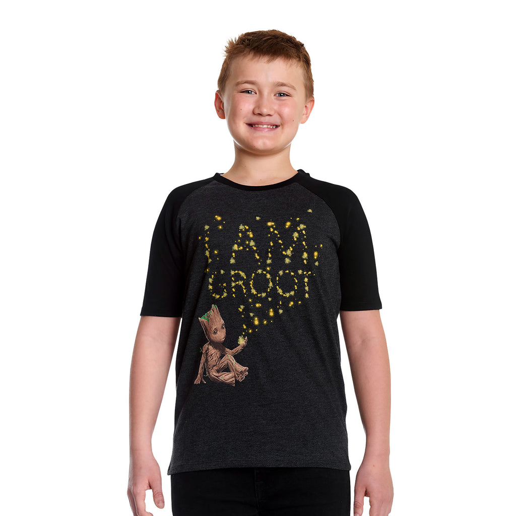 Zdjęcie produktu Guardians of the Galaxy - Groot Glow in the Dark T-Shirt dla dzieci szare