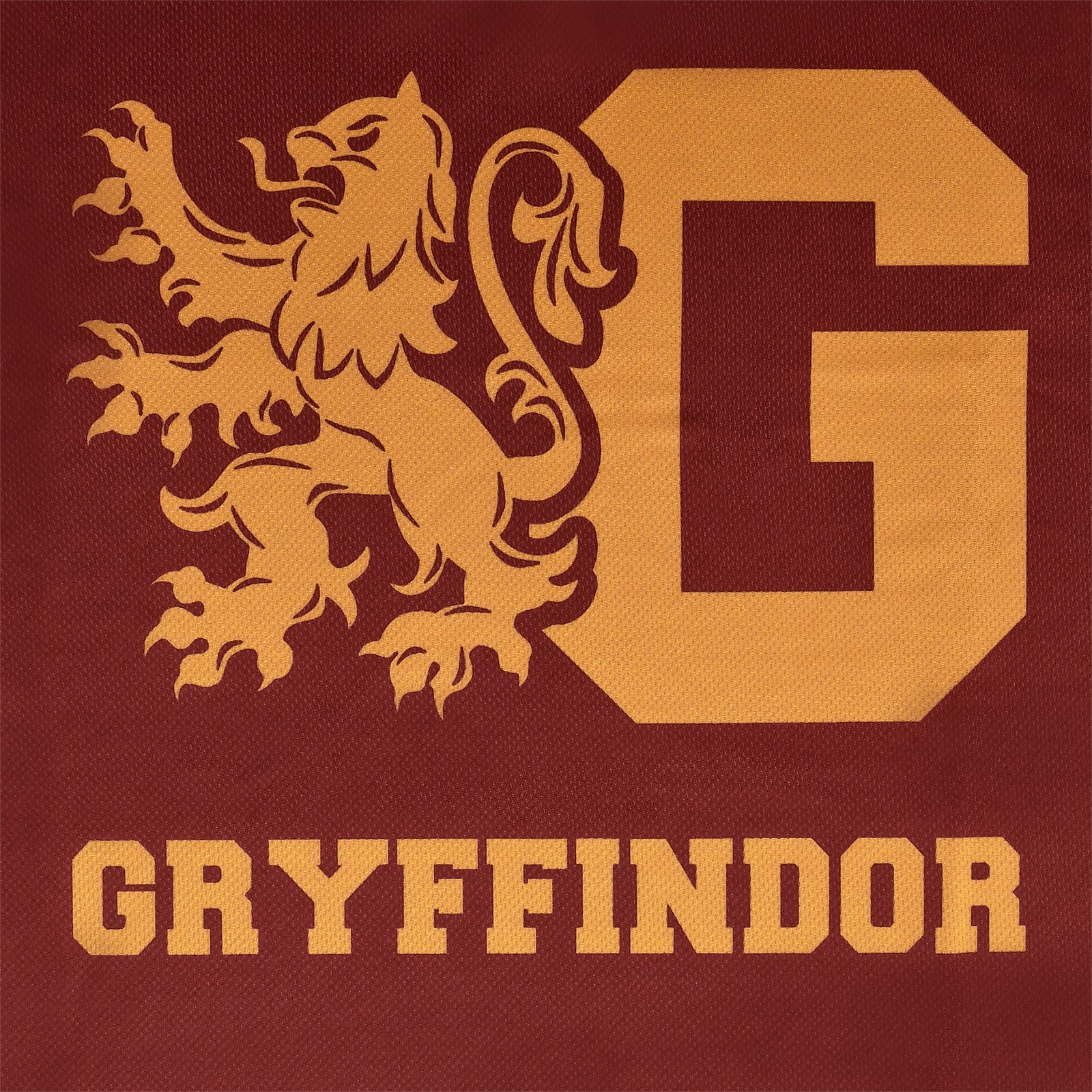 Zdjęcie produktu Harry Potter - Team Gryffindor T-Shirt czerwony
