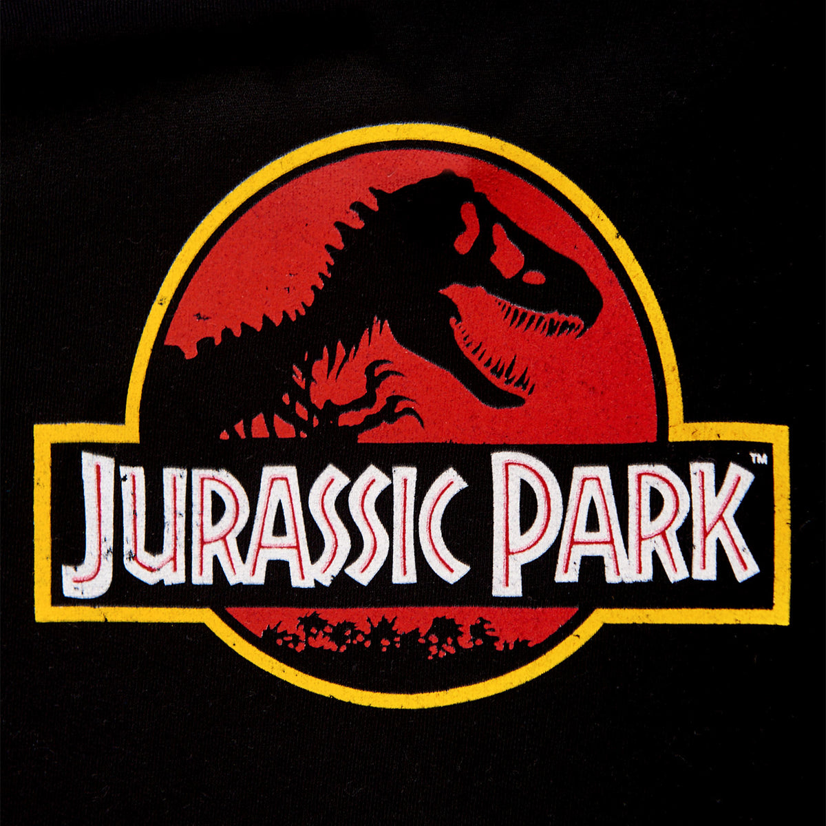 Zdjęcie produktu Jurassic Park - Logo filmu Bluza z kapturem dla dzieci czarna