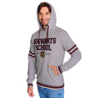 Product image Harry Potter - Hogwarts School Hoodie grey