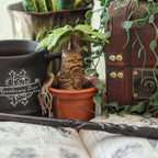 Zdjęcie produktu Mandragora - Figurka Magiczne Stworzenia Harry Potter
