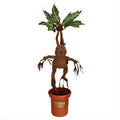 Product image Harry Potter - Mandrake Plush Figure in Pot with Sound 46 cm
