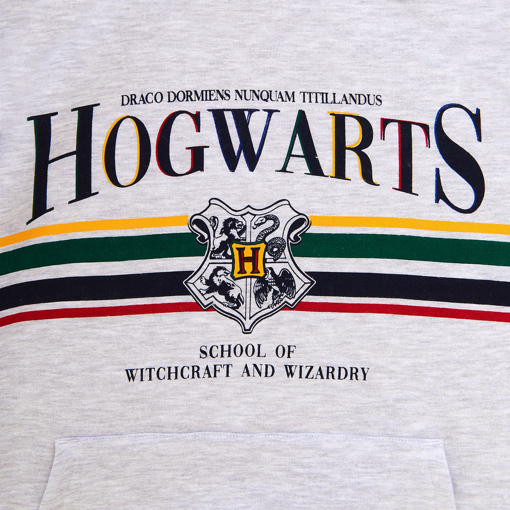Product image Harry Potter - Hogwarts Hoodie grey