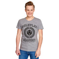Zdjęcie produktu Roleplay Academy T-Shirt szary