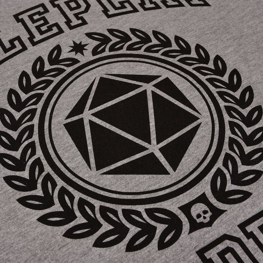 Zdjęcie produktu Roleplay Academy T-Shirt szary