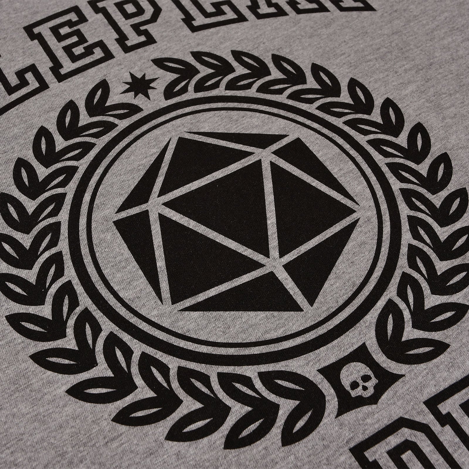 Zdjęcie produktu Roleplay Academy T-Shirt szary