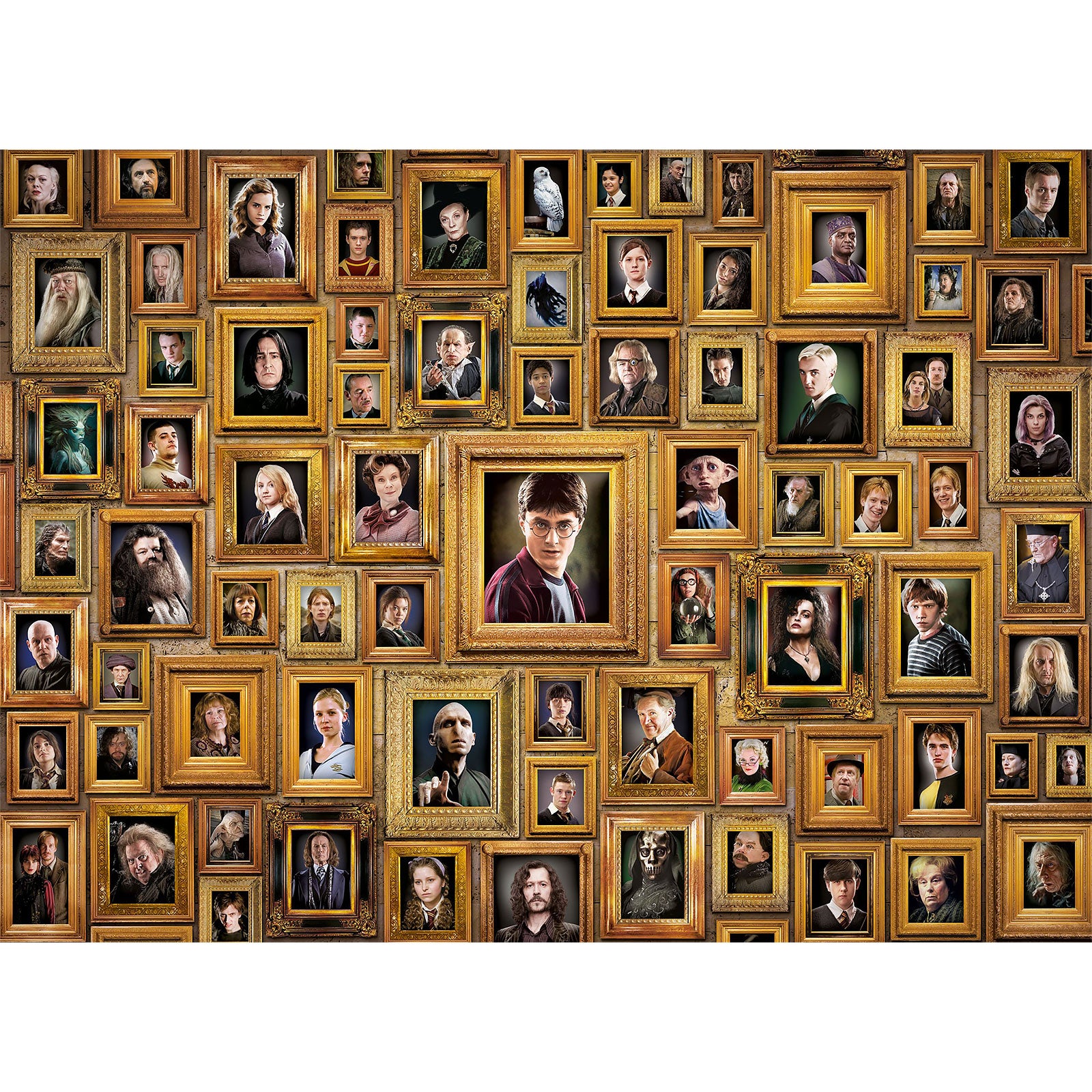 Product image Harry Potter - Impossible Characters Puzzle