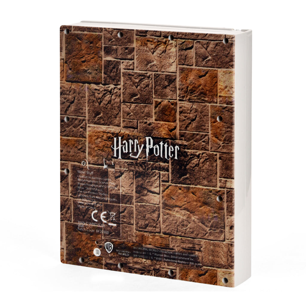 Zdjęcie produktu Harry Potter - Gruba Dama Pudełko z notesem i hasłem