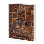 Zdjęcie produktu Harry Potter - Gruba Dama Pudełko z notesem i hasłem