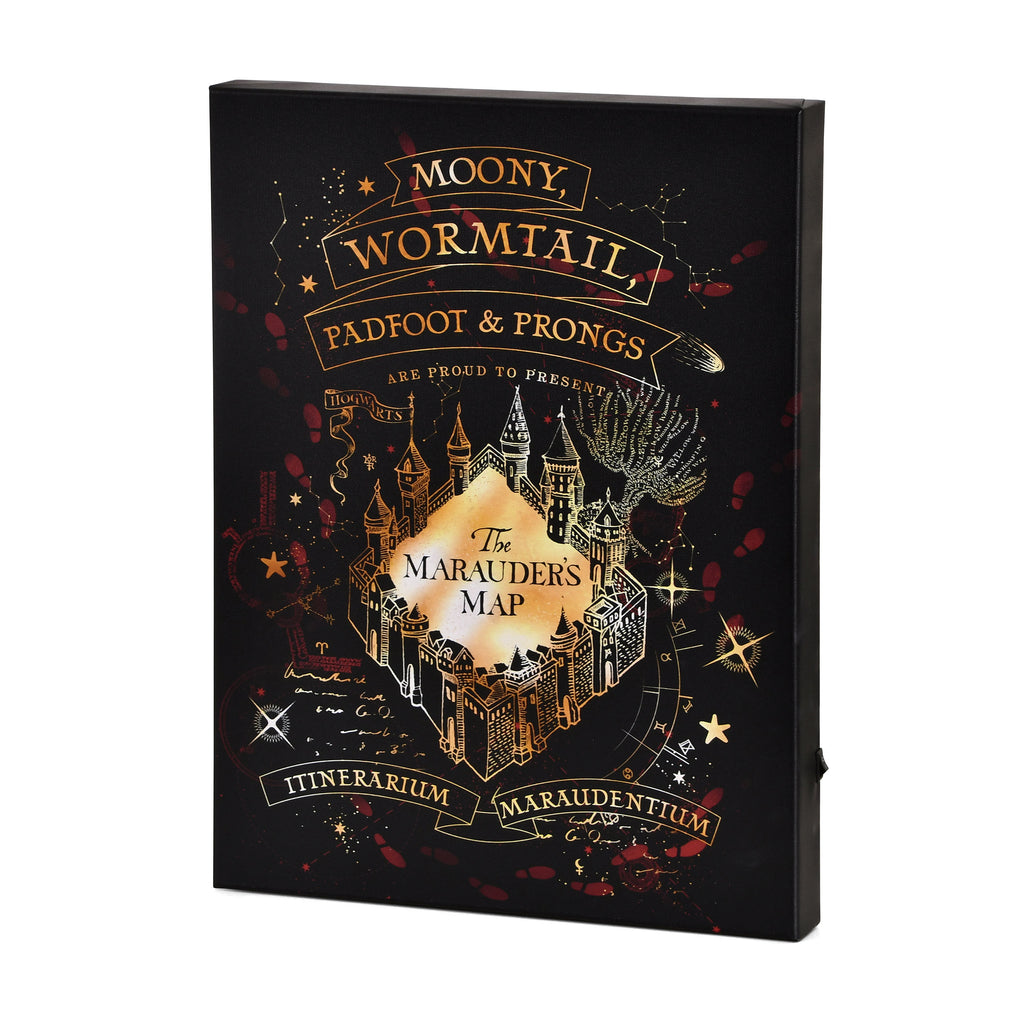 Zdjęcie produktu Harry Potter - Mapa Huncwotów Obraz na płótnie z podświetleniem