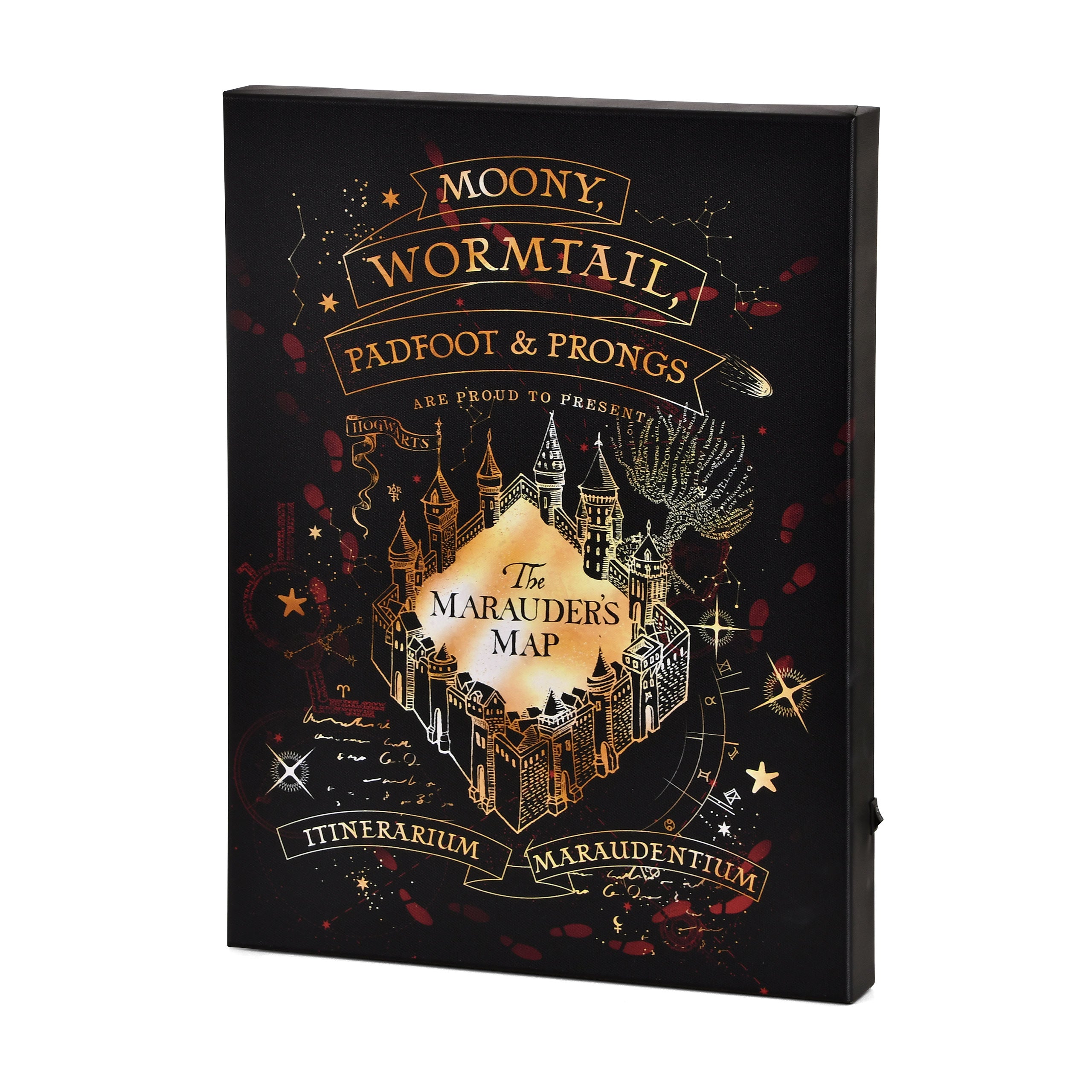 Zdjęcie produktu Harry Potter - Mapa Huncwotów Obraz na płótnie z podświetleniem