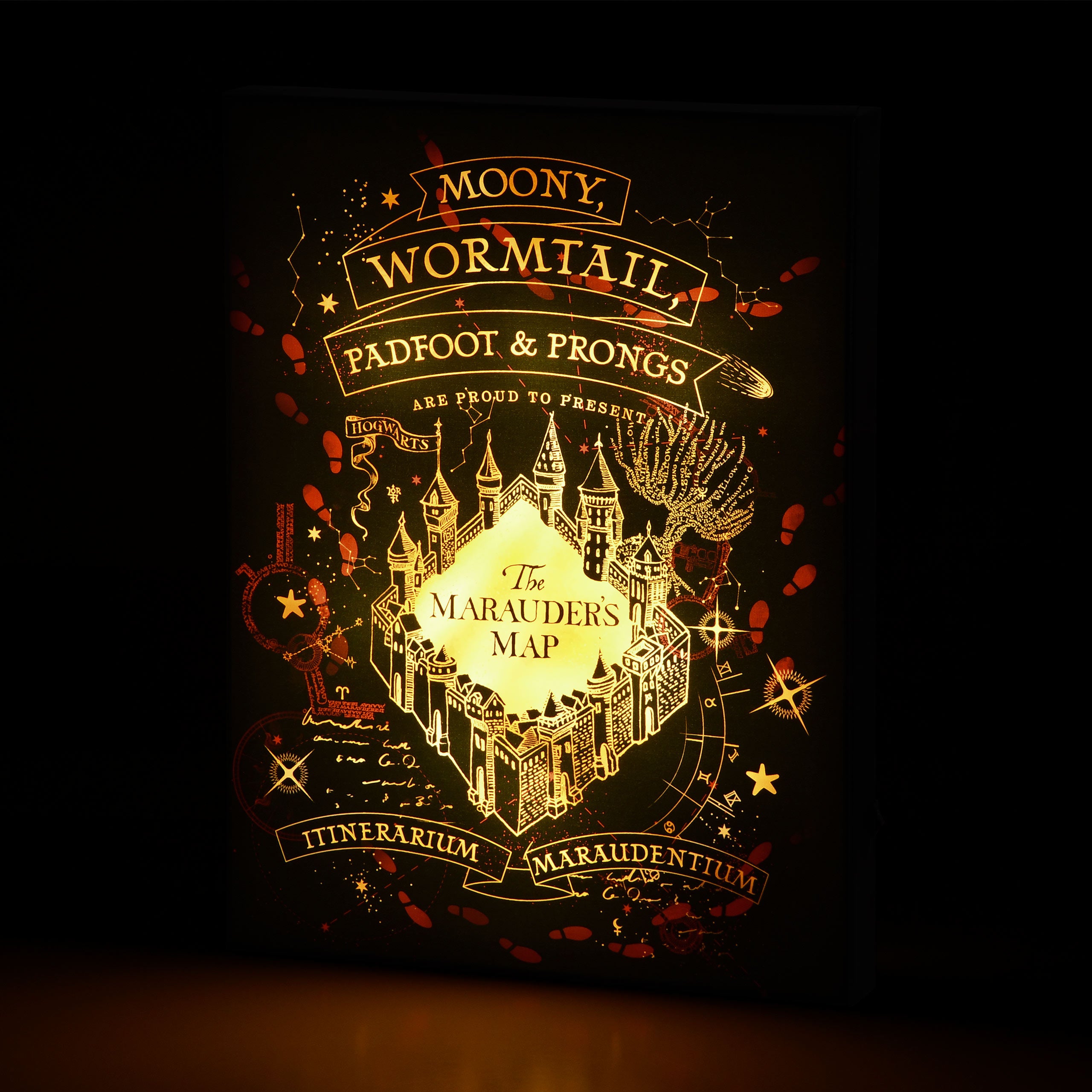 Zdjęcie produktu Harry Potter - Mapa Huncwotów Obraz na płótnie z podświetleniem