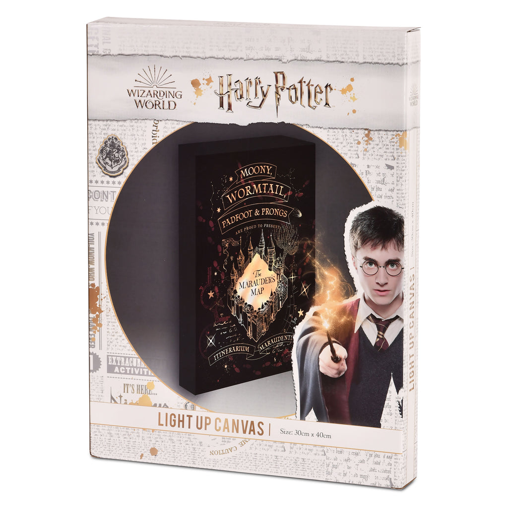 Zdjęcie produktu Harry Potter - Mapa Huncwotów Obraz na płótnie z podświetleniem