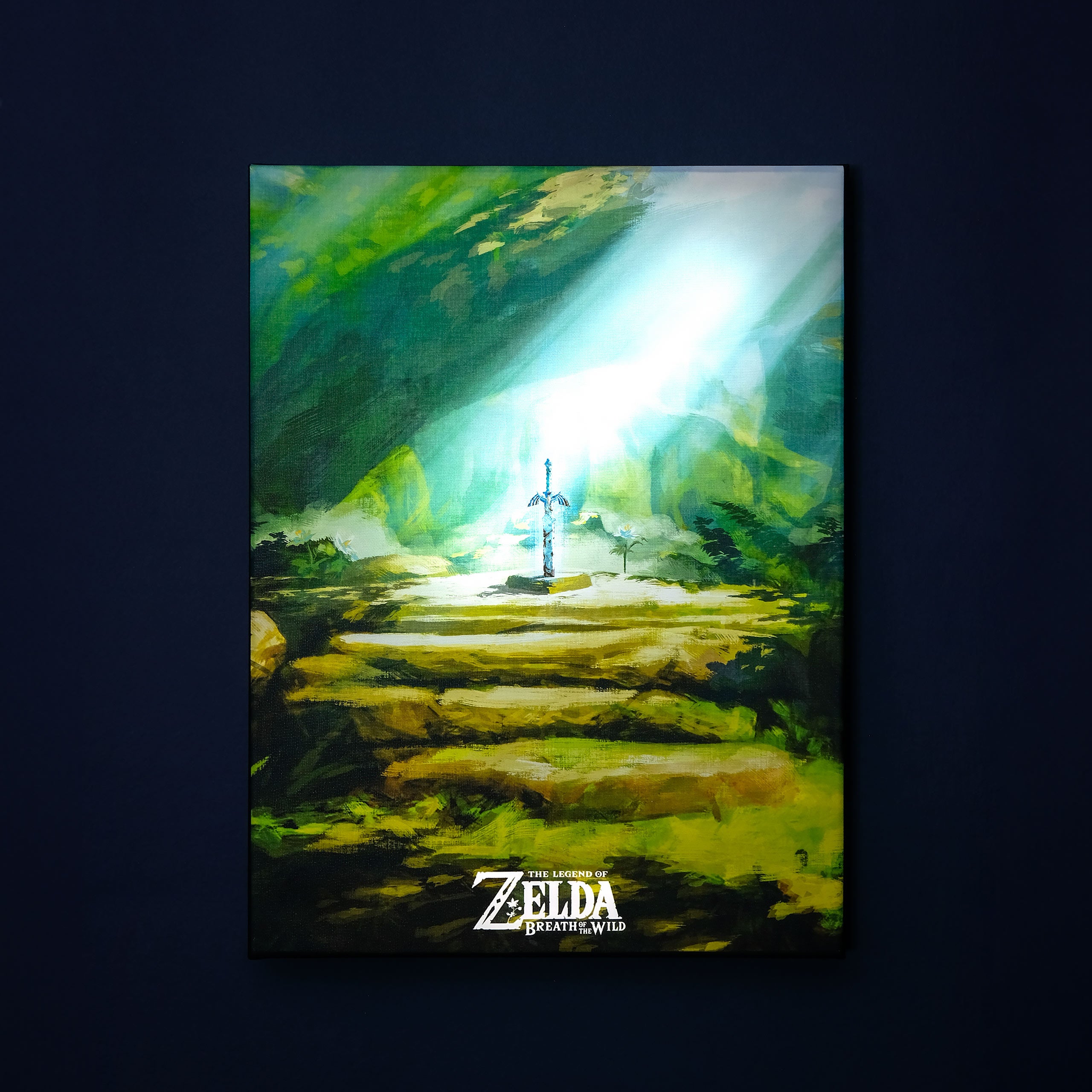Zdjęcie produktu Zelda - Miecz Mistrza Obraz na ścianę z podświetleniem