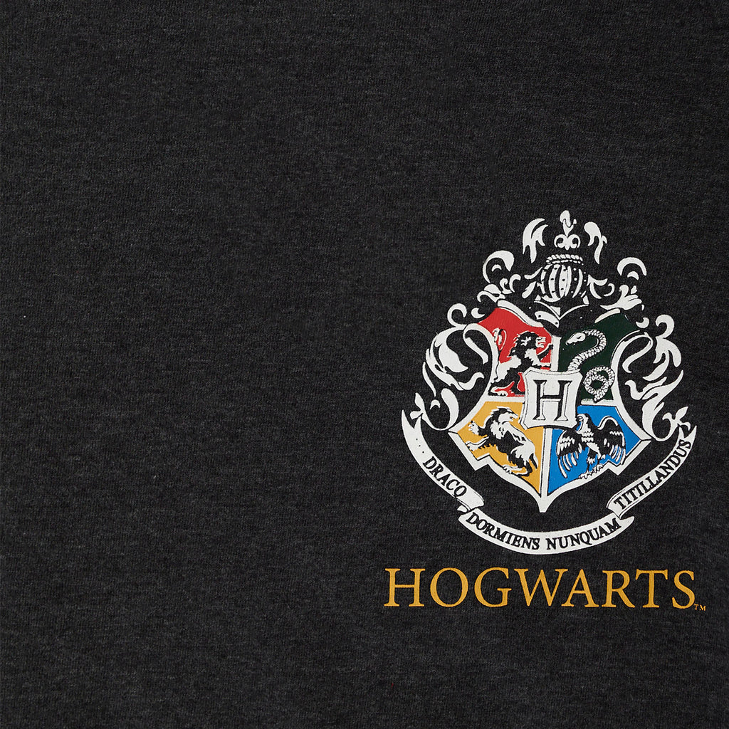 Zdjęcie produktu Hufflepuff Szukający Diggory Oversize T-Shirt damski szary - Harry Potter