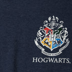 Zdjęcie produktu Ravenclaw Seeker Chang Oversize T-Shirt Damskie Niebieskie - Harry Potter