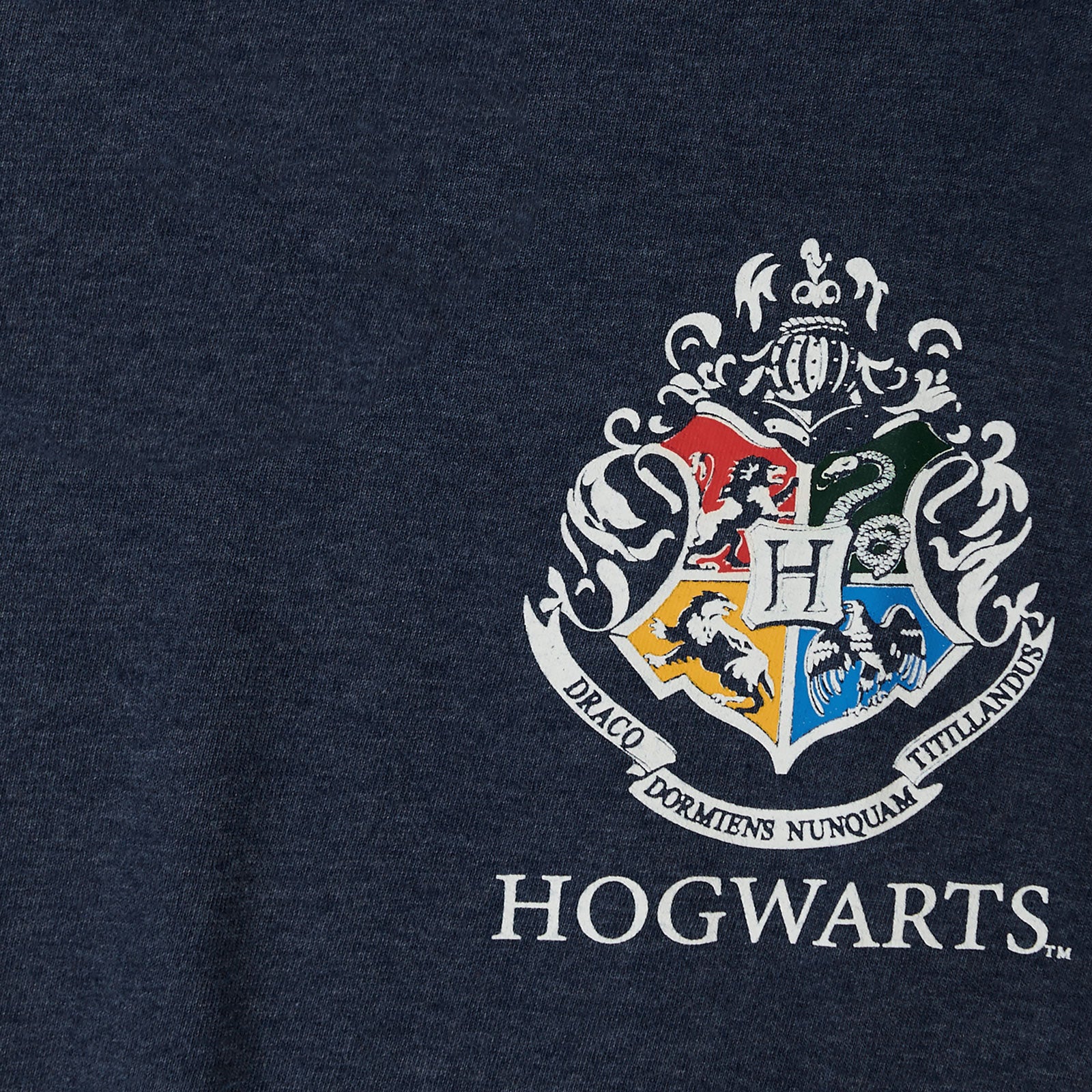 Zdjęcie produktu Ravenclaw Seeker Chang Oversize T-Shirt Damskie Niebieskie - Harry Potter