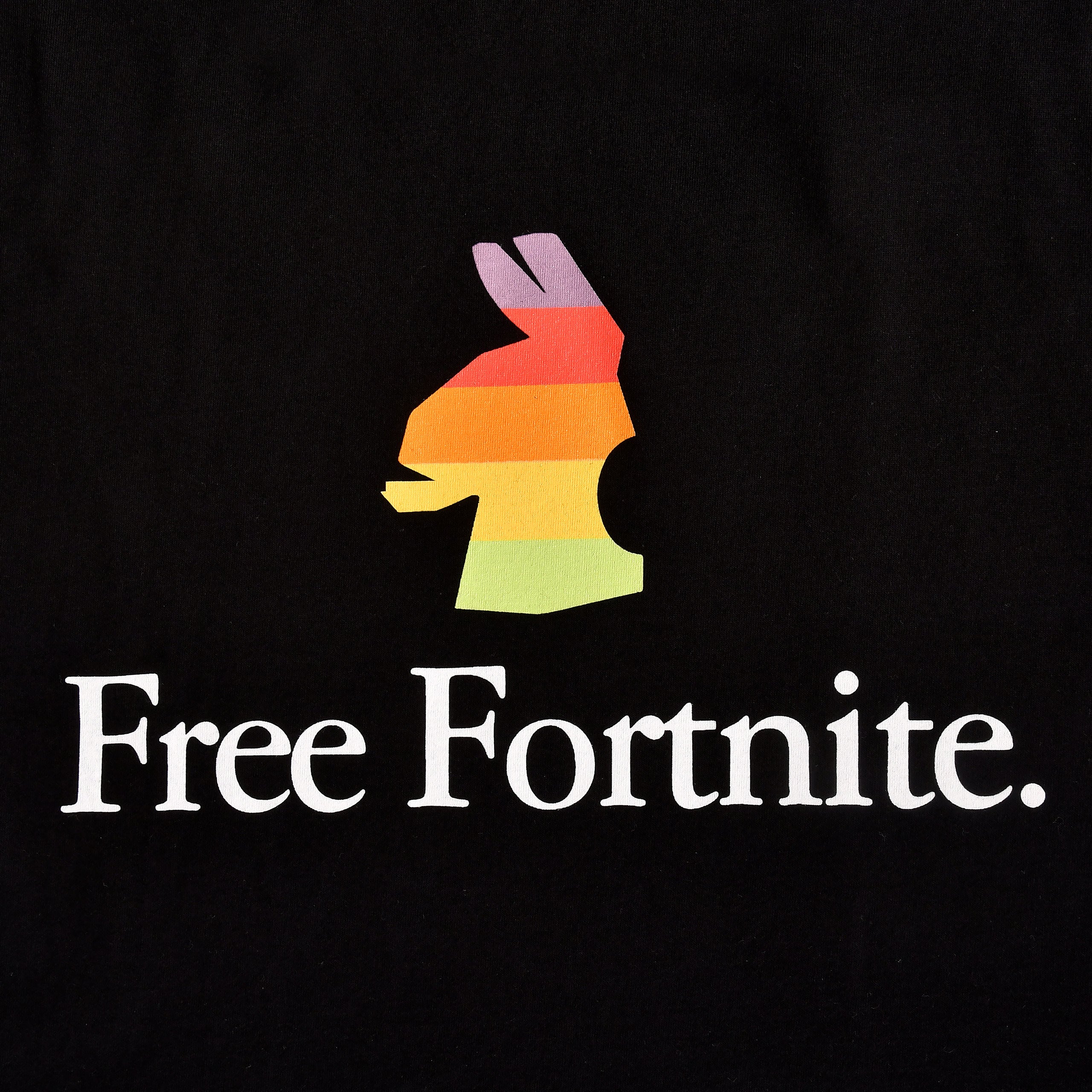 Zdjęcie produktu Fortnite - Free Fortnite Koszulka czarna