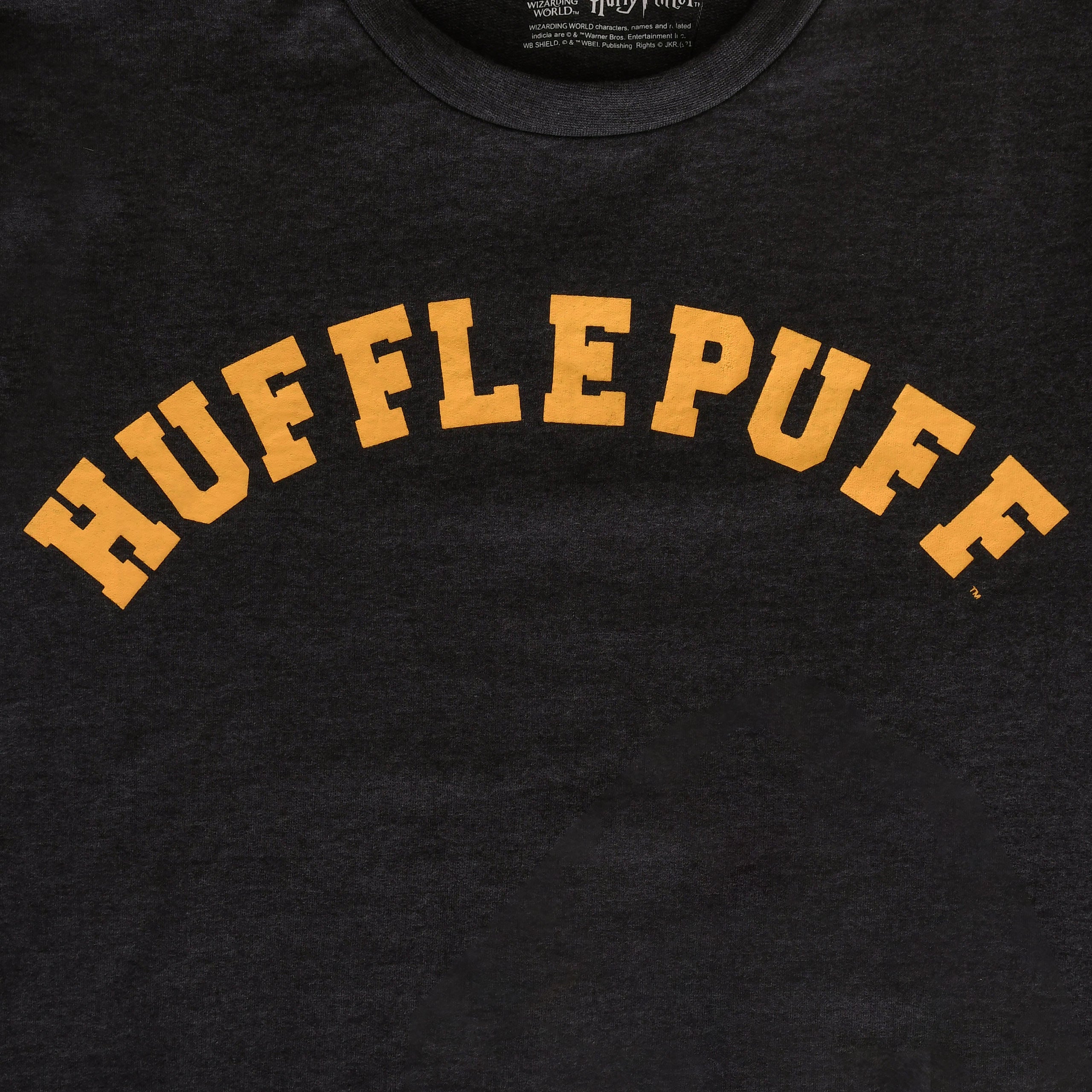 Zdjęcie produktu Harry Potter - Hufflepuff College Sweter szary
