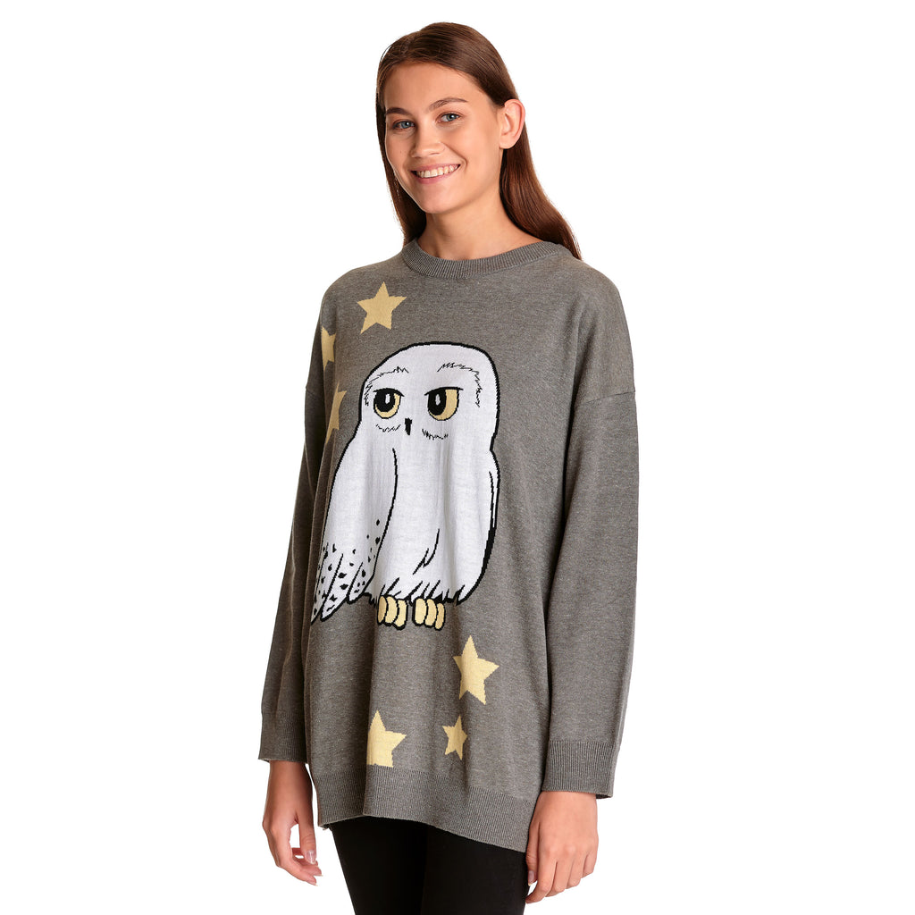 Zdjęcie produktu Harry Potter - Hedwig Oversize Sweter szary