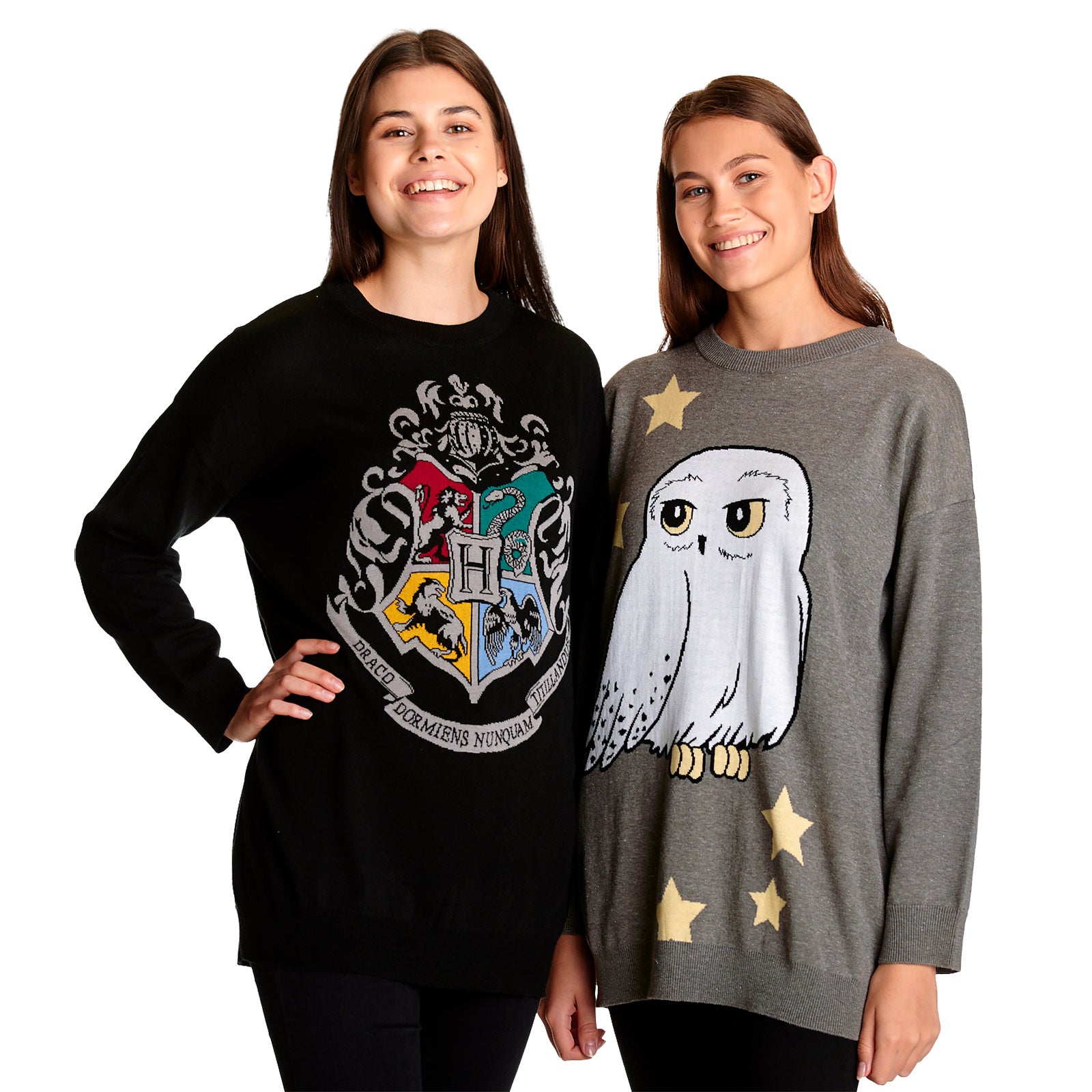 Zdjęcie produktu Harry Potter - Hedwig Oversize Sweter szary