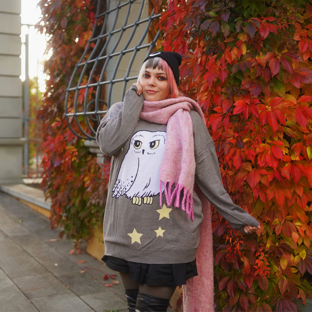 Zdjęcie produktu Harry Potter - Hedwig Oversize Sweter szary