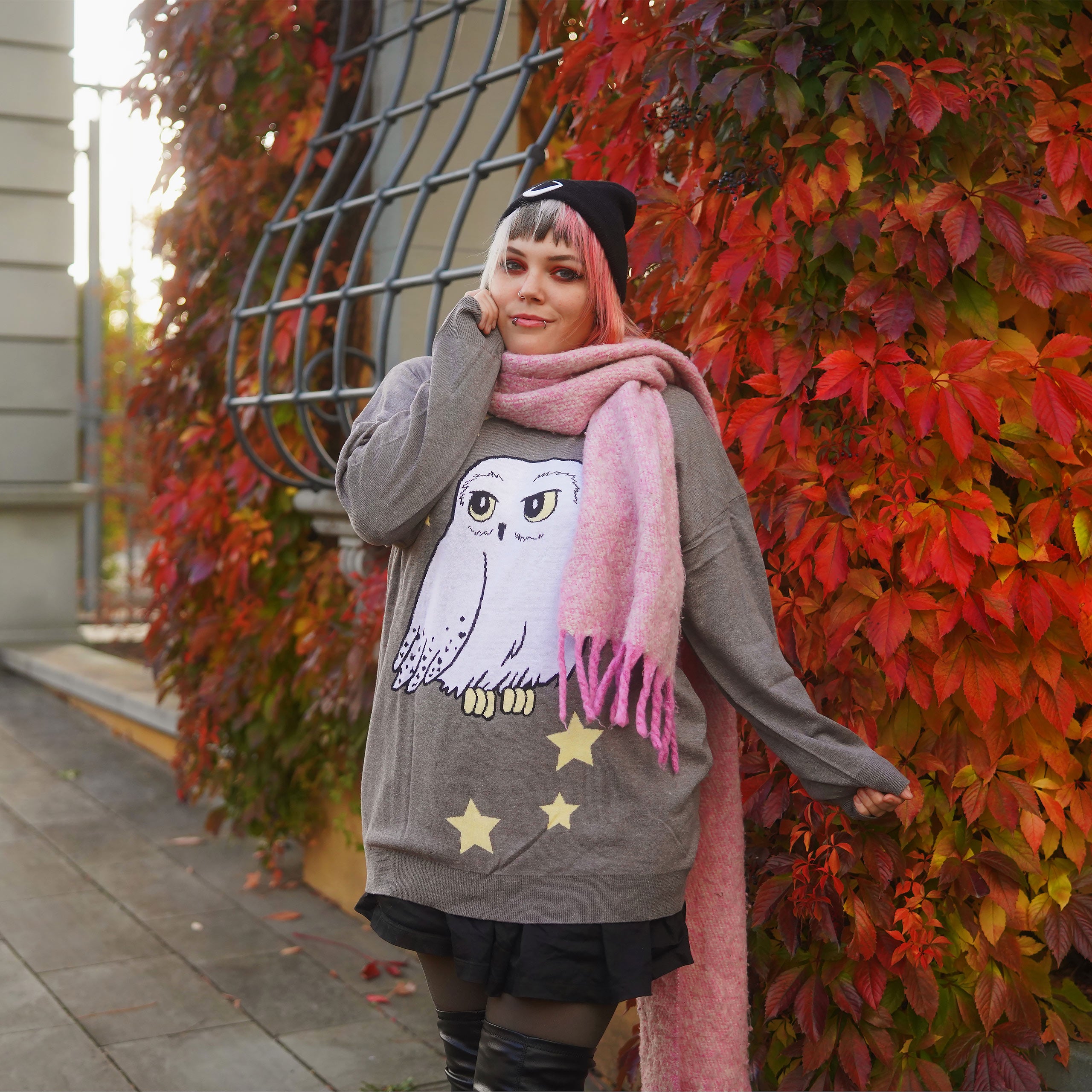Zdjęcie produktu Harry Potter - Hedwig Oversize Sweter szary