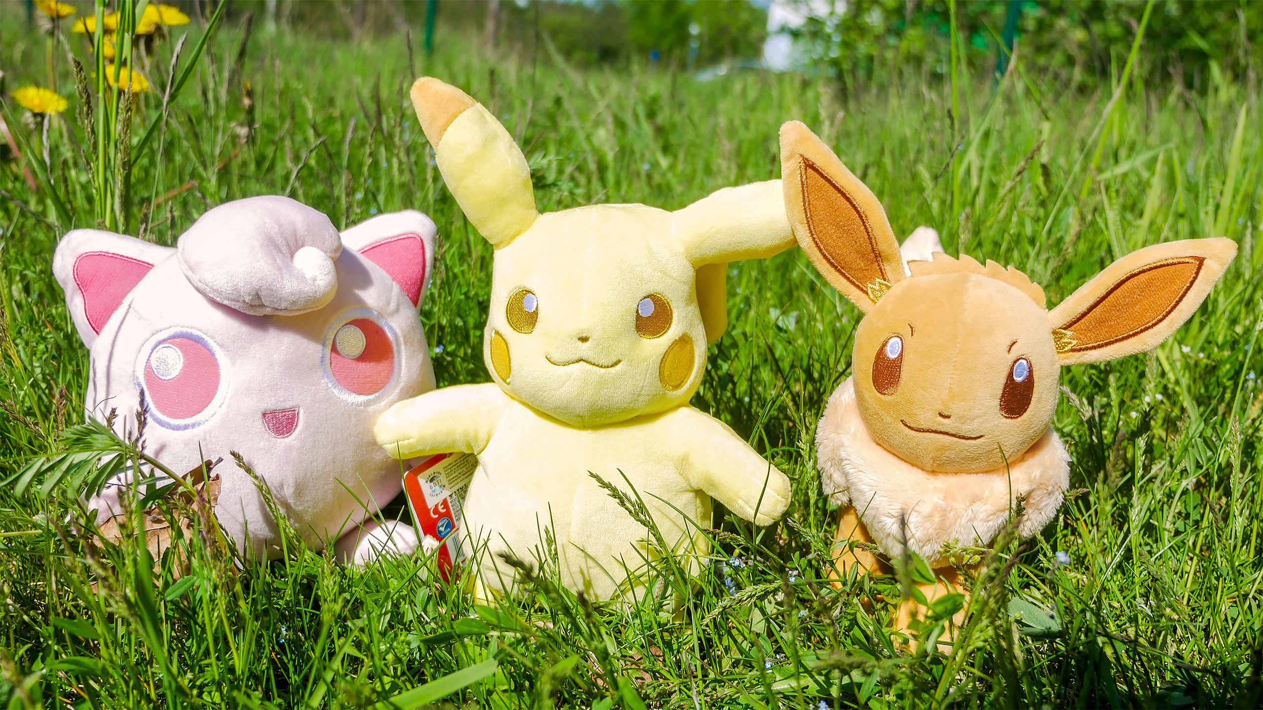 Zdjęcie produktu Pokemon - Evoli Monochrom Maskotka Pluszowa 22 cm