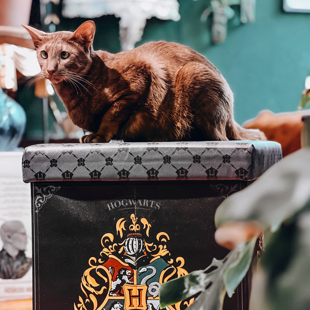 Zdjęcie produktu Harry Potter - Taboret Hogwarts z schowkiem