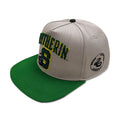 Zdjęcie produktu Harry Potter - Czapka Snapback z Frotteowym Logo Slytherin