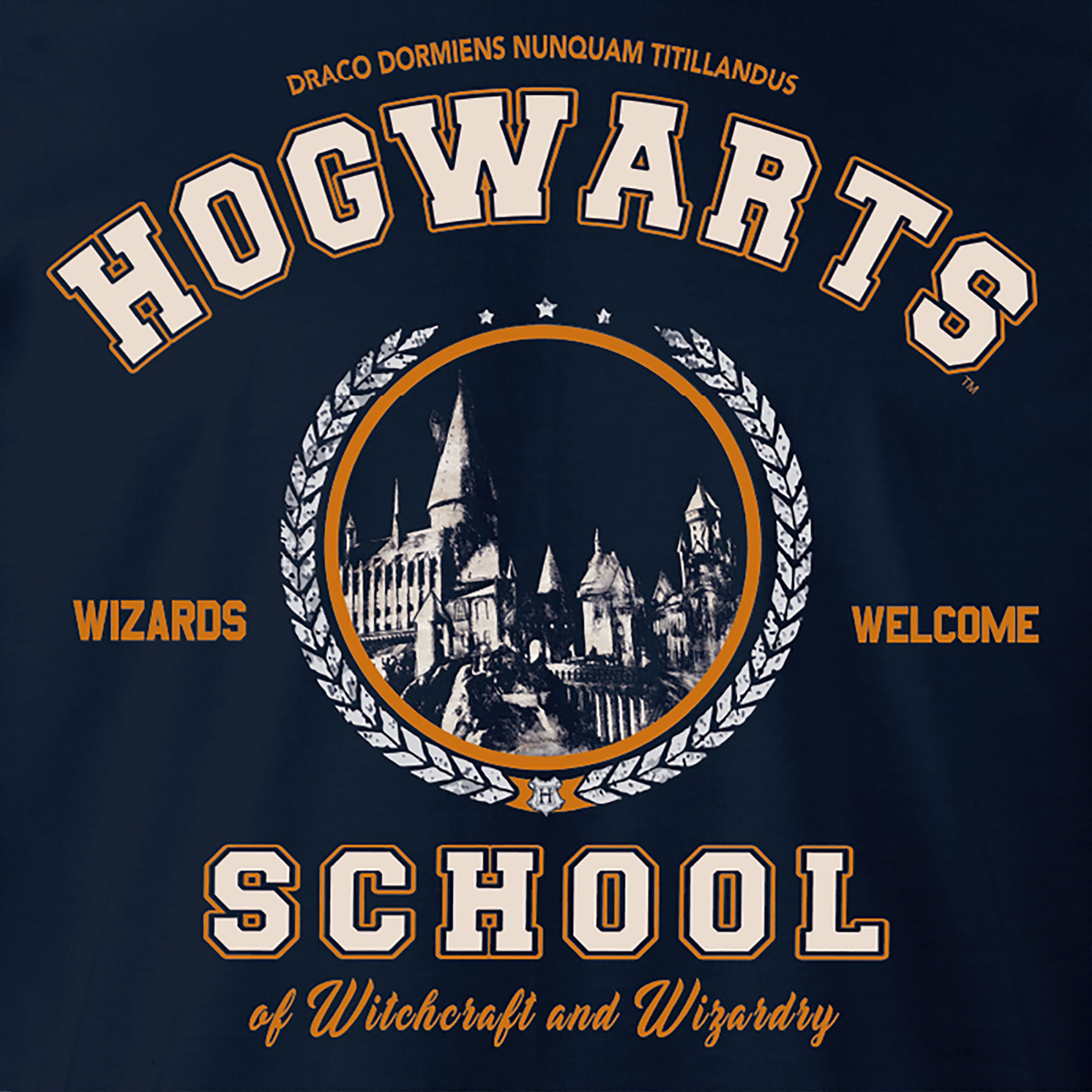 Zdjęcie produktu Harry Potter - Bluza z kapturem Hogwarts School niebieska