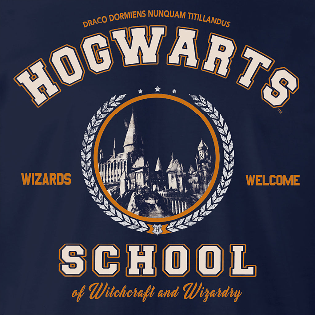 Zdjęcie produktu Harry Potter - Koszulka Szkoła Hogwart niebieska