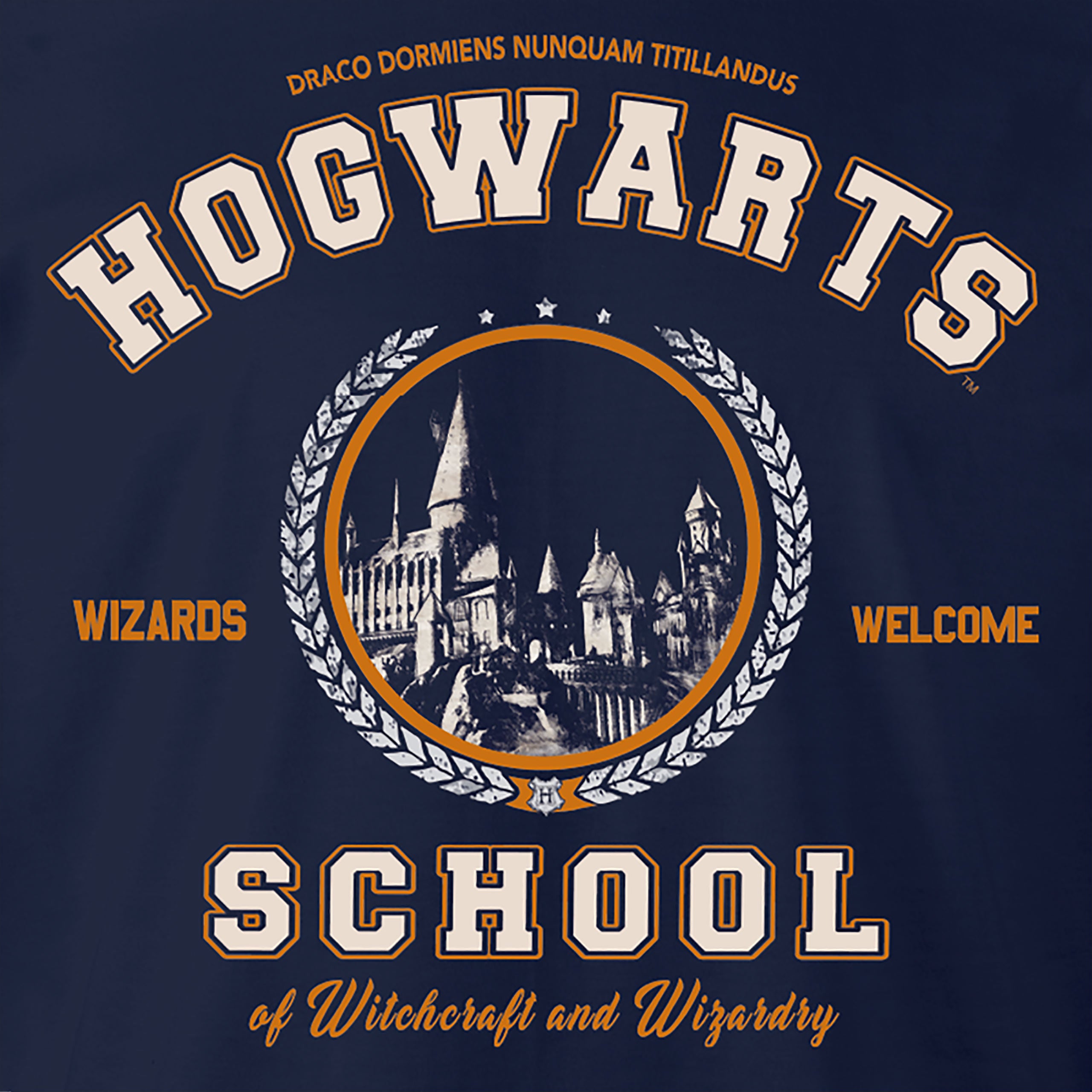 Zdjęcie produktu Harry Potter - Koszulka Szkoła Hogwart niebieska