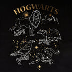 Product image Harry Potter - Hogwarts House Crest Animal T-Shirt Black