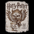 Zdjęcie produktu Koszulka Fawkes z figurką Funko Pop Glow in the Dark - Harry Potter
