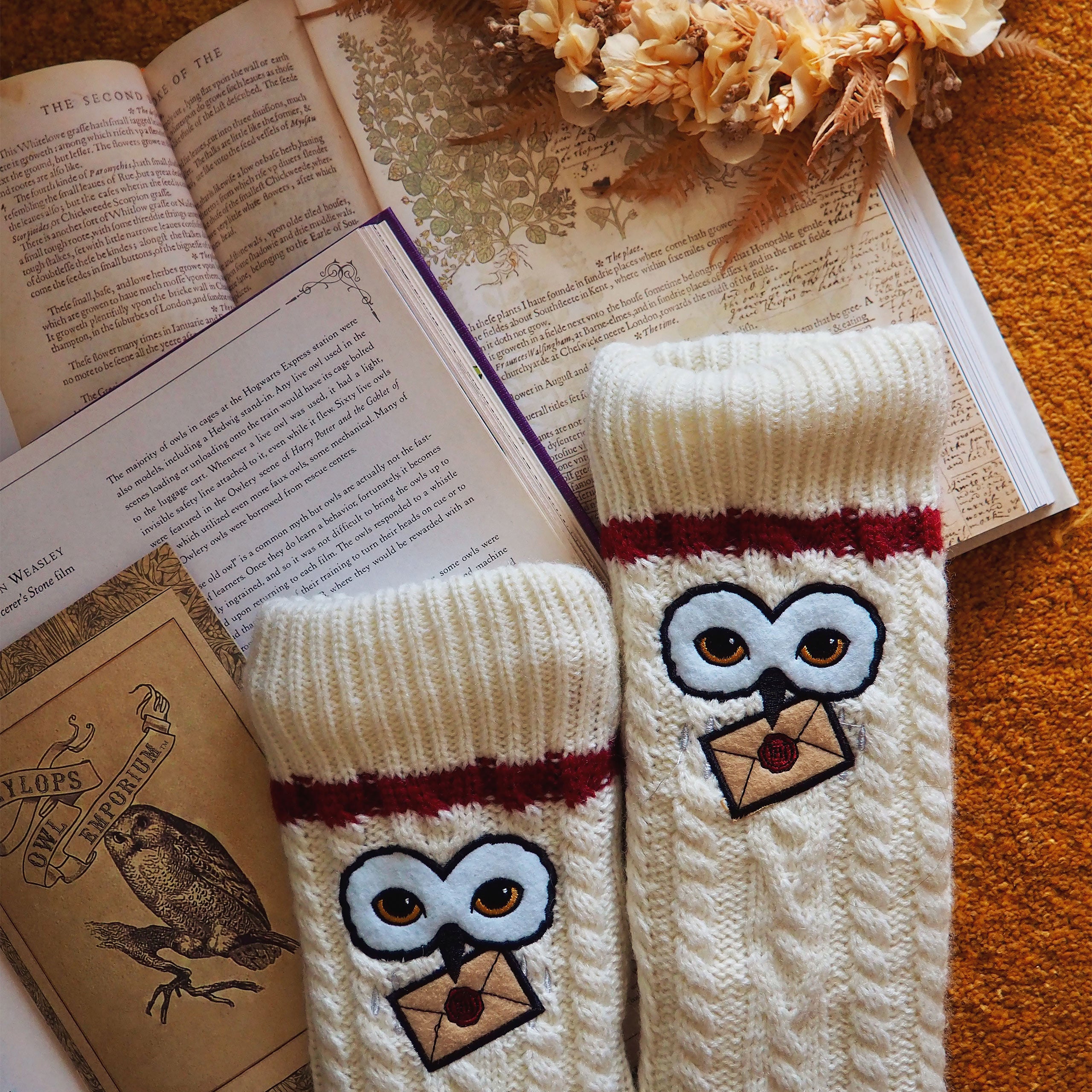 Zdjęcie produktu Harry Potter - Skarpety Hedwiga z futerkiem teddy