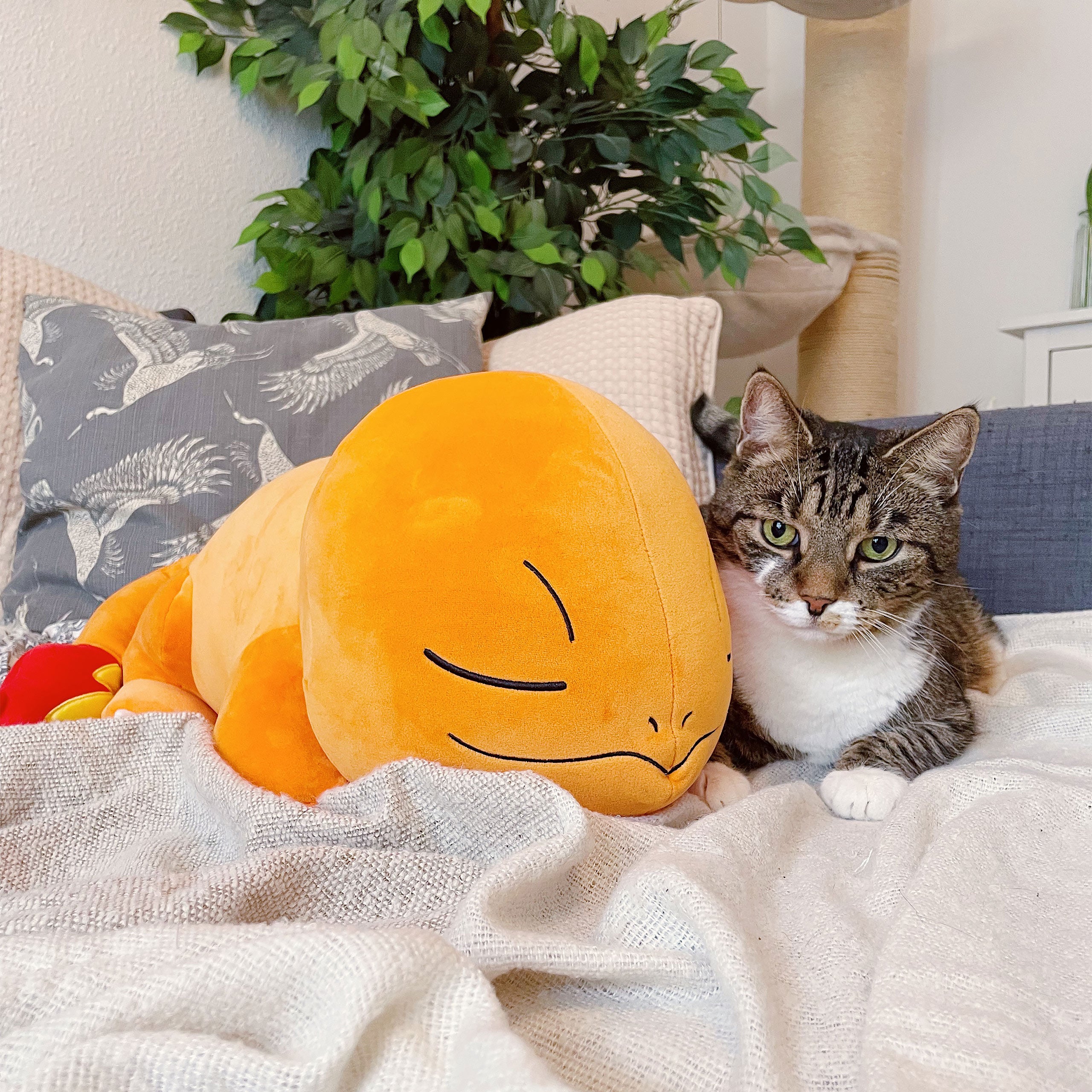 Zdjęcie produktu Pokemon - Pluszowa figurka Charmander śpiący