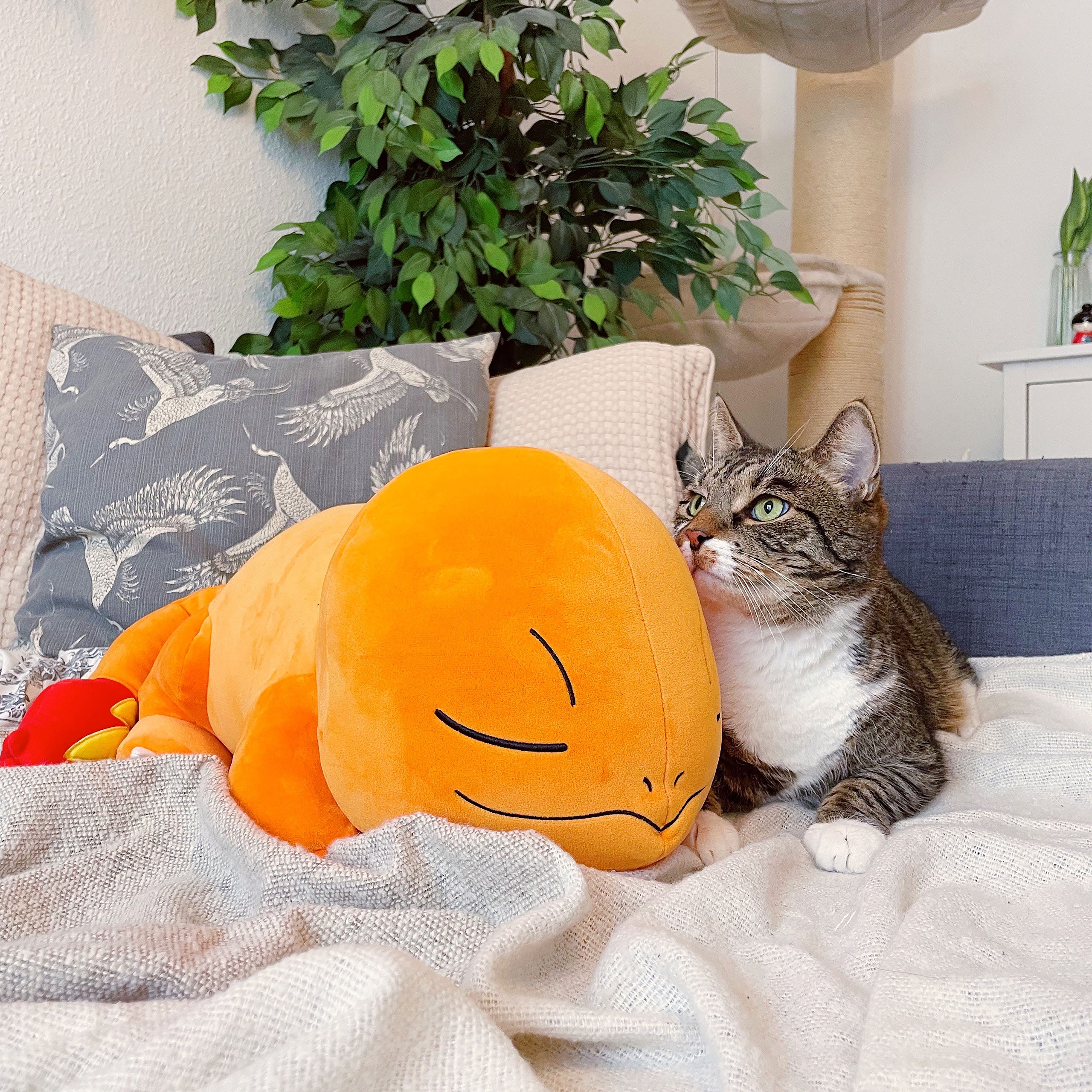 Zdjęcie produktu Pokemon - Pluszowa figurka Charmander śpiący
