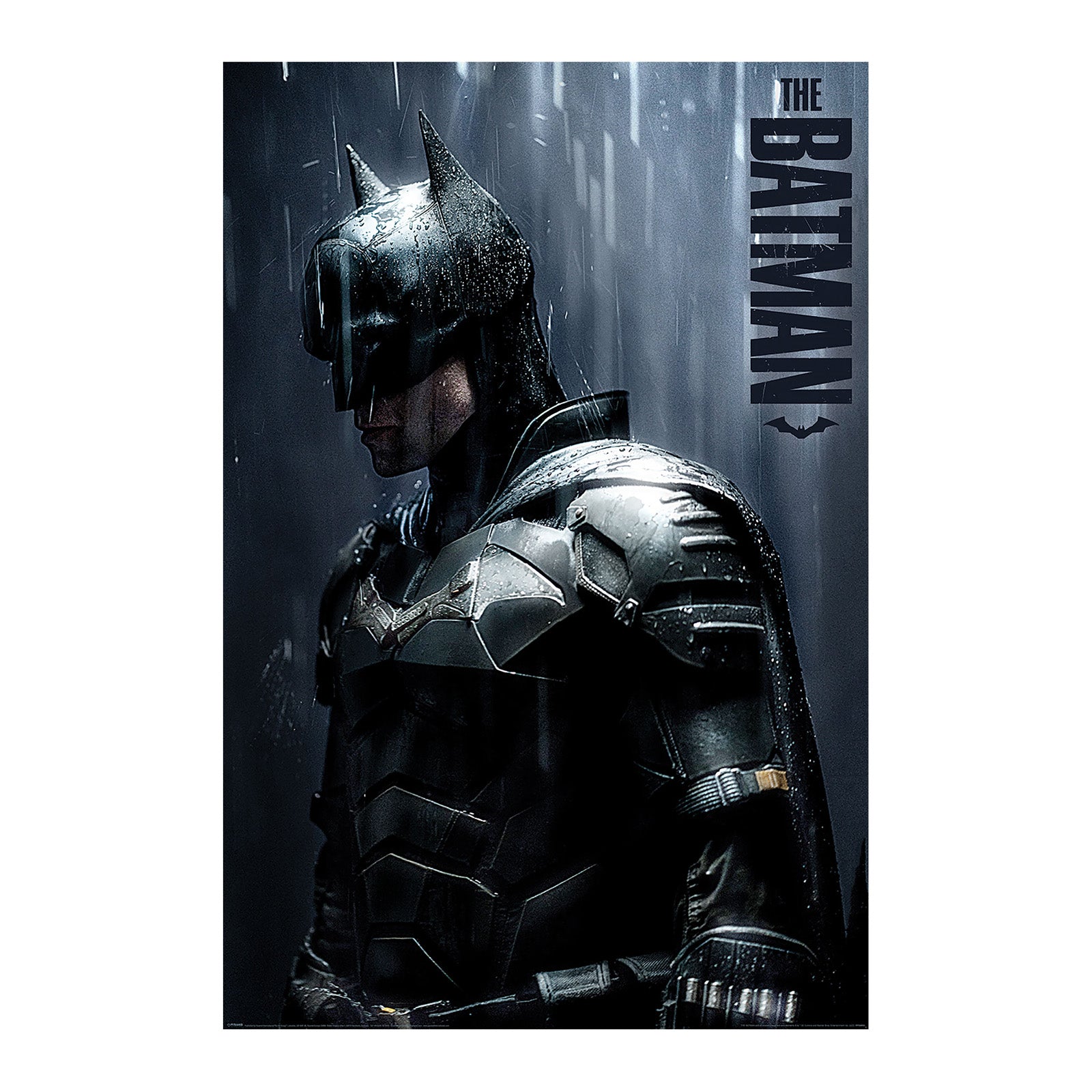 Zdjęcie produktu The Batman - Downpour Maxi Plakat