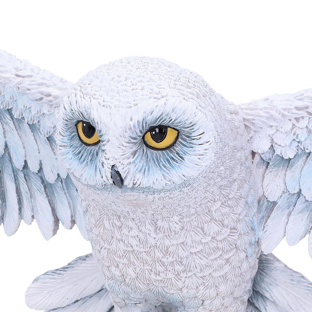 Zdjęcie produktu Rzeźba ścienna Hedwiga - Harry Potter