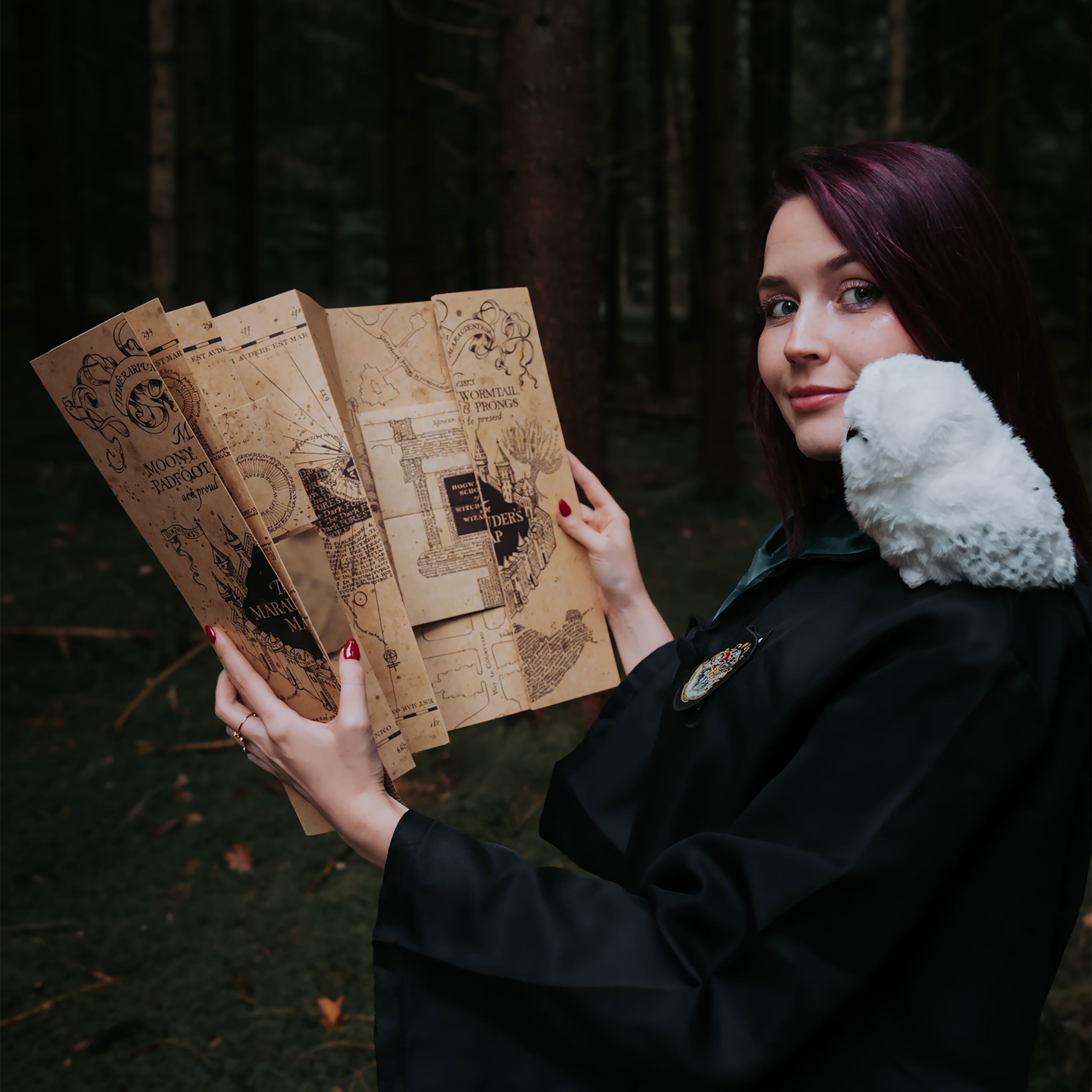Zdjęcie produktu Mapa Huncwotów - Harry Potter