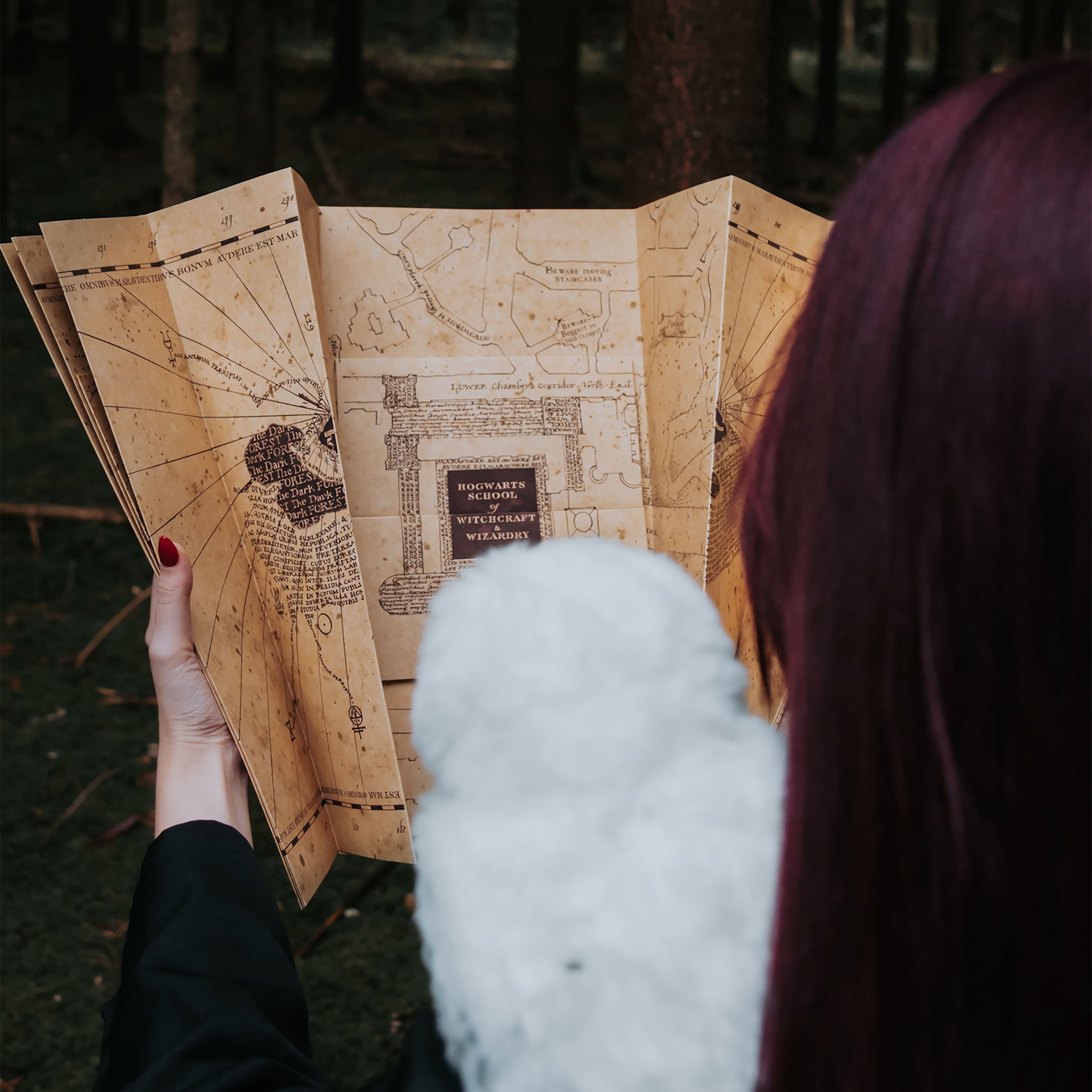 Zdjęcie produktu Mapa Huncwotów - Harry Potter