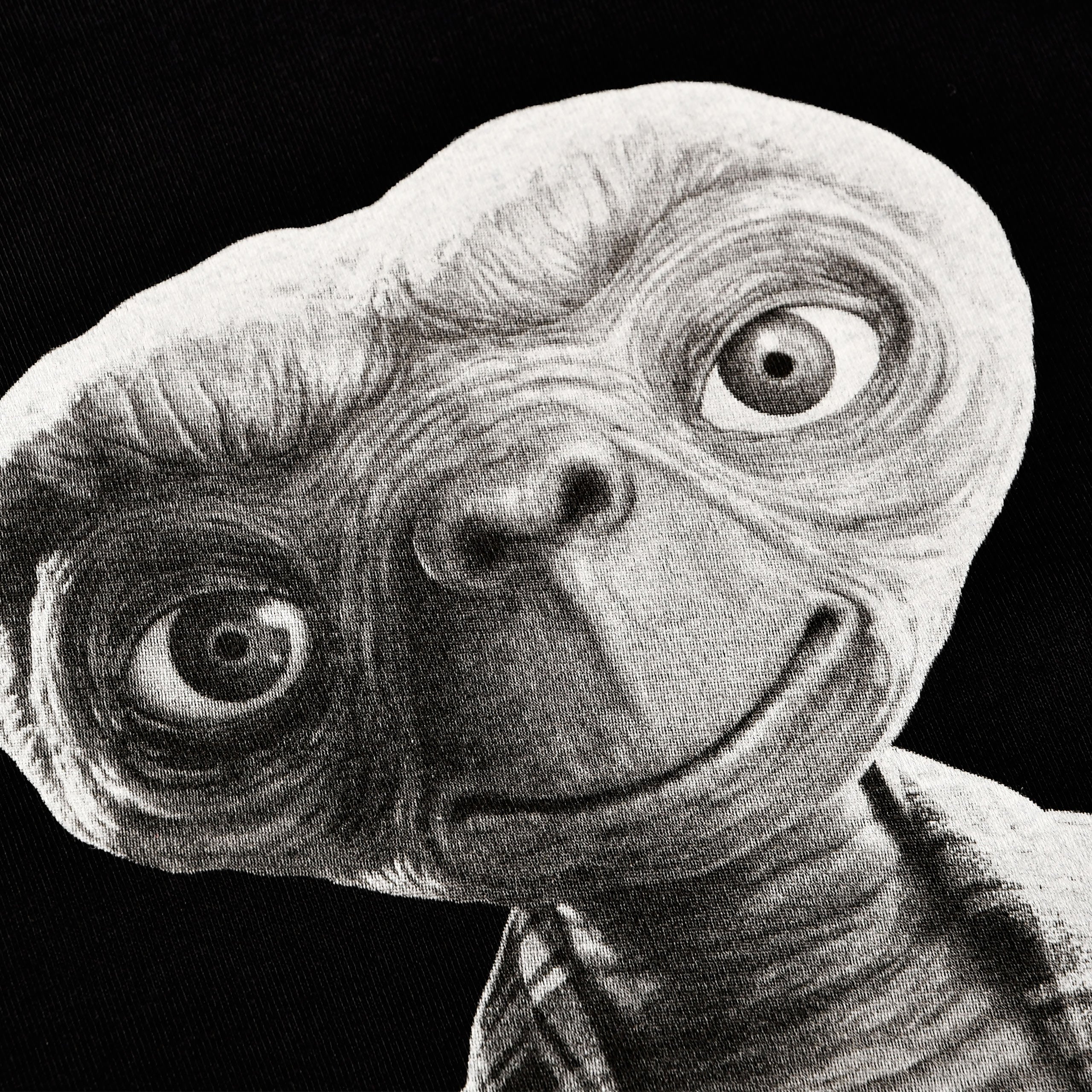 Zdjęcie produktu E.T. - Monochromatyczna koszulka z postacią czarna