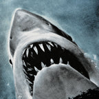 Zdjęcie produktu Szczęki - Koszulka z plakatem Jaws czarna