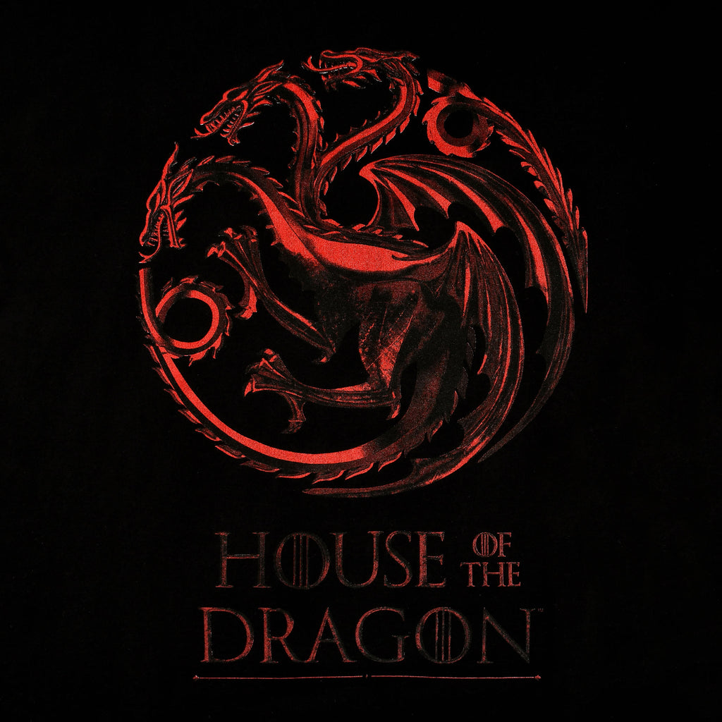 Zdjęcie produktu House of the Dragon - Koszulka z logo czarna